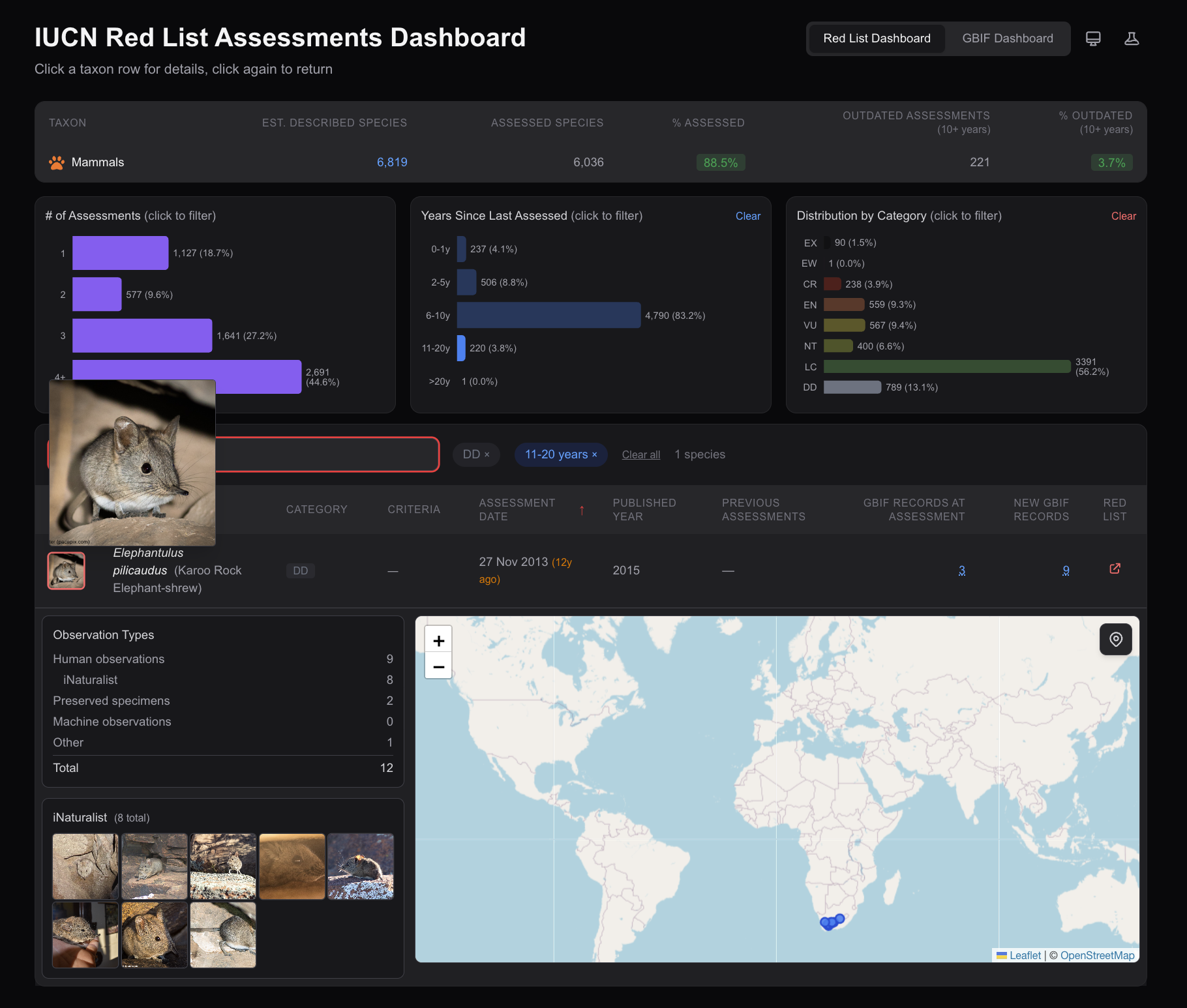 The dashboard helps uncover cases like that of this Karoo Rock Elephant-Shrew. This species was listed as data-deficient when last assessed over 12 years ago, but has since had 8 new iNaturalist observations that would be used in a reassessment!